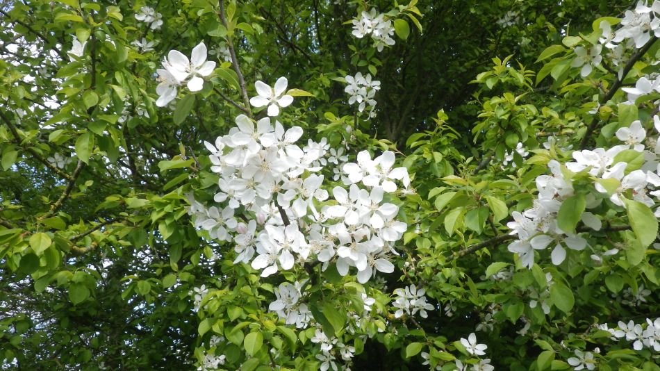 2017-04-19 07 Wissett Area.jpg