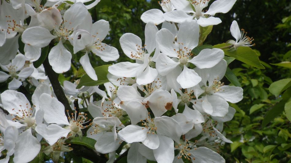 2017-04-19 08 Wissett Area.jpg