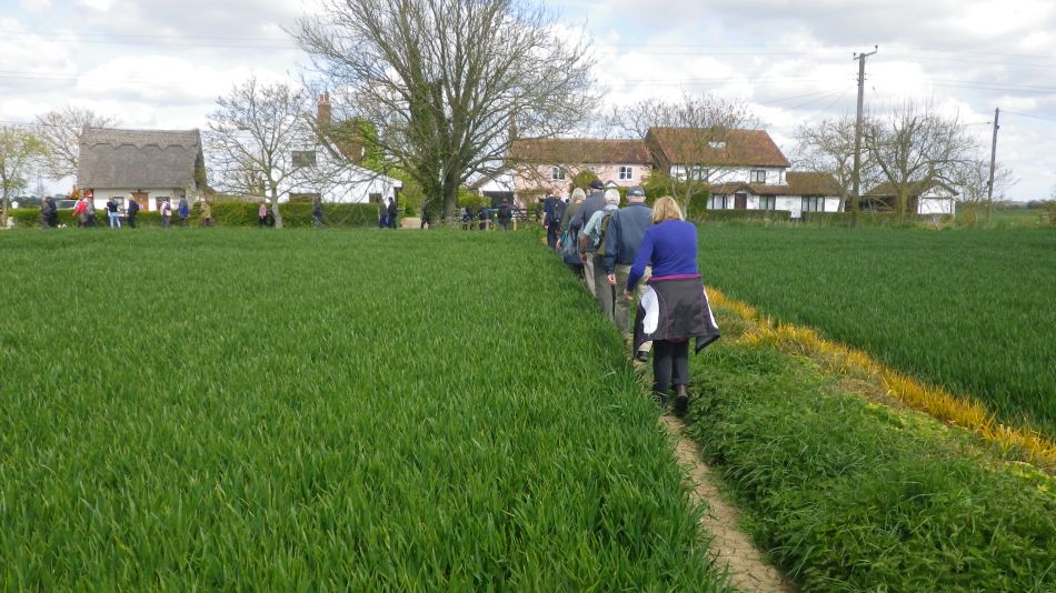 2017-04-19 11 Wissett Area.jpg