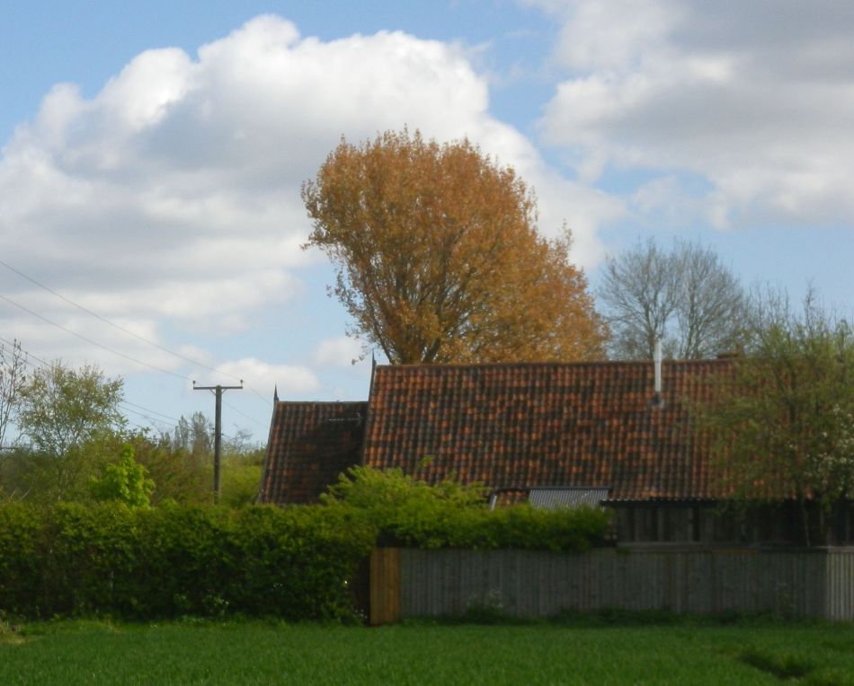 2017-04-19 12 Wissett Area.jpg