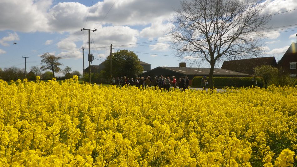 2017-04-19 15 Wissett Area.jpg