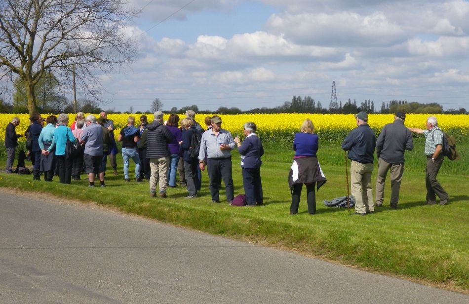 2017-04-19 19 Wissett Area.jpg