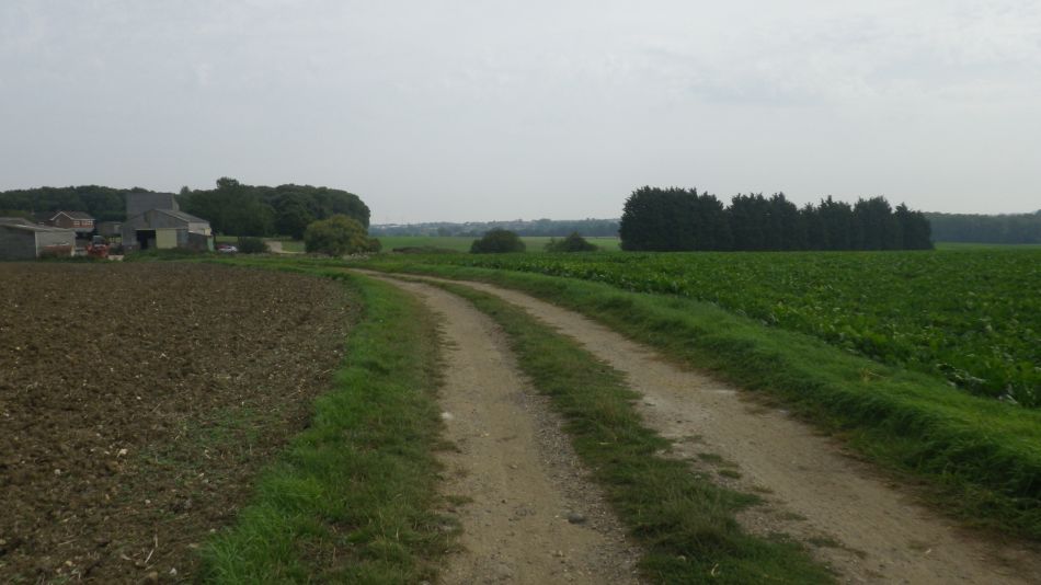 2017-08-23 06 Wissett and Chediston.jpg