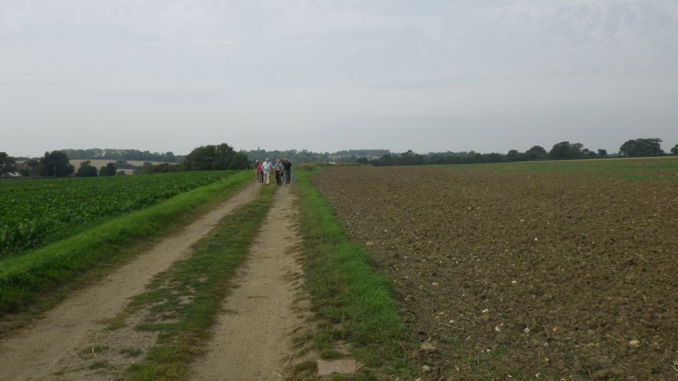 2017-08-23 07 Wissett and Chediston.jpg