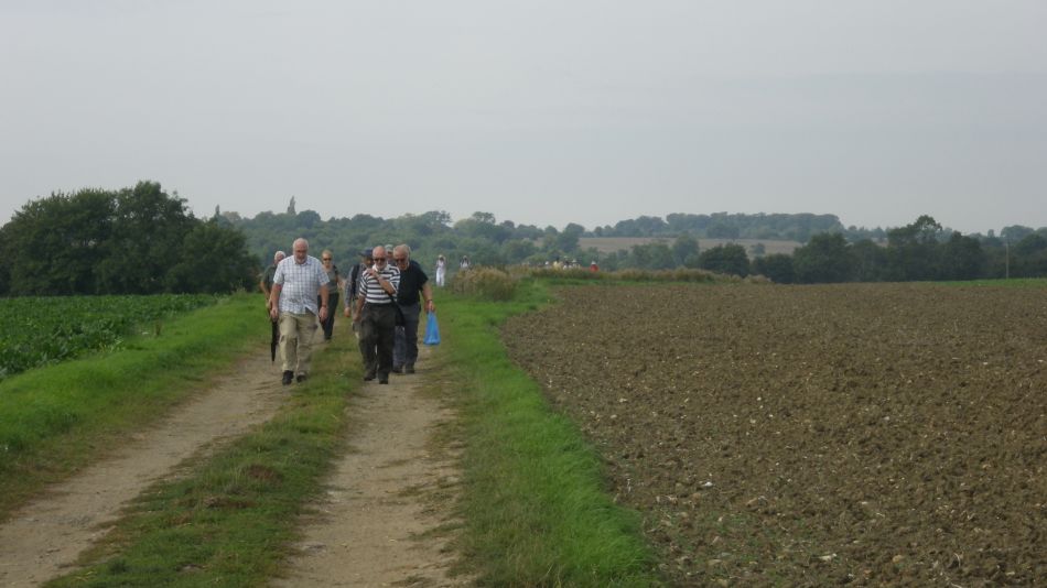 2017-08-23 08 Wissett and Chediston.jpg