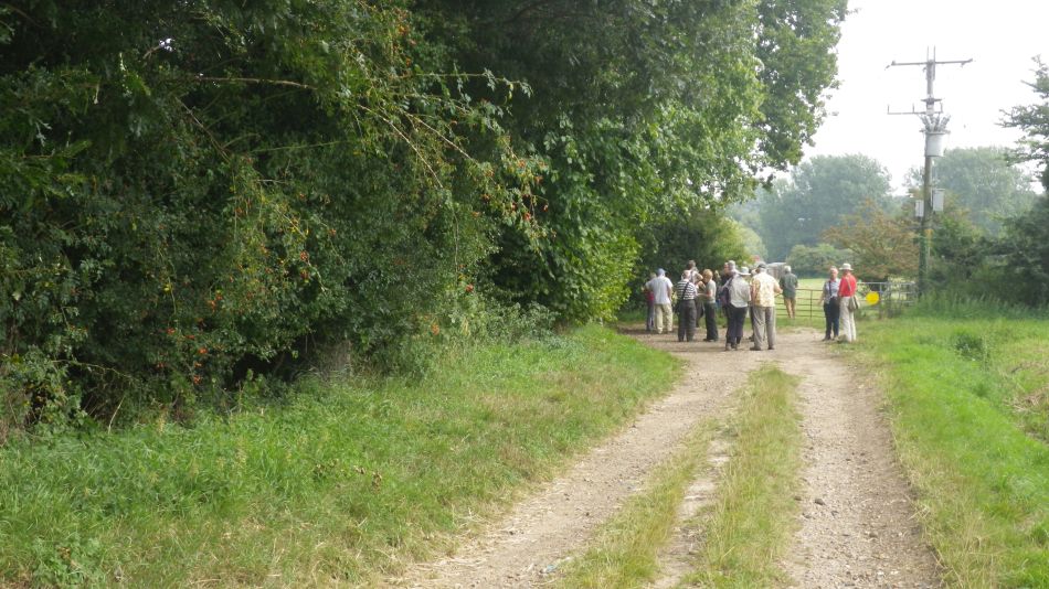 2017-08-23 09 Wissett and Chediston.jpg