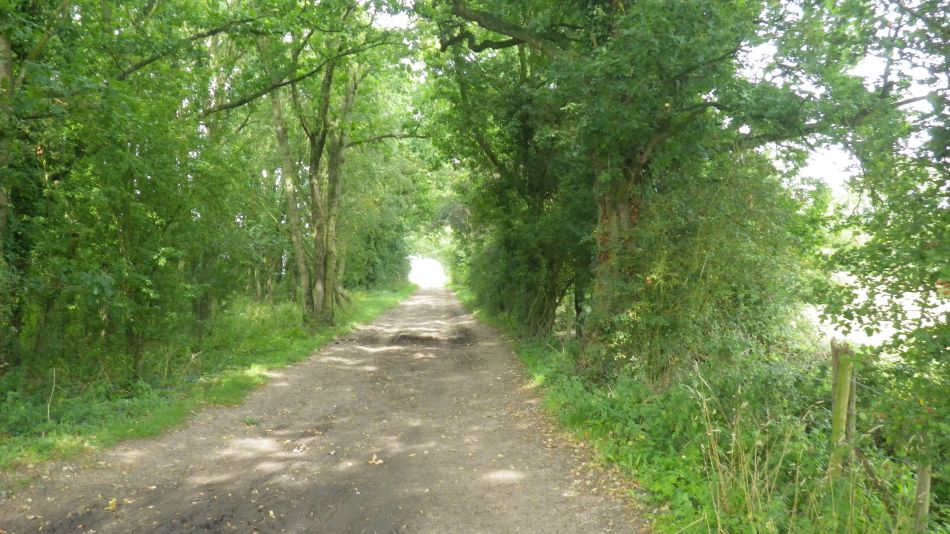 2017-08-23 11 Wissett and Chediston.jpg