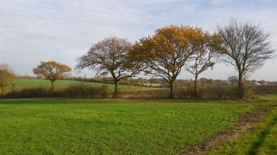 2017-11-16 03 Wissett and St James South Elmham.jpg