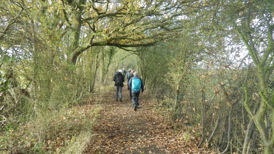 2017-11-16 04 Wissett and St James South Elmham.jpg