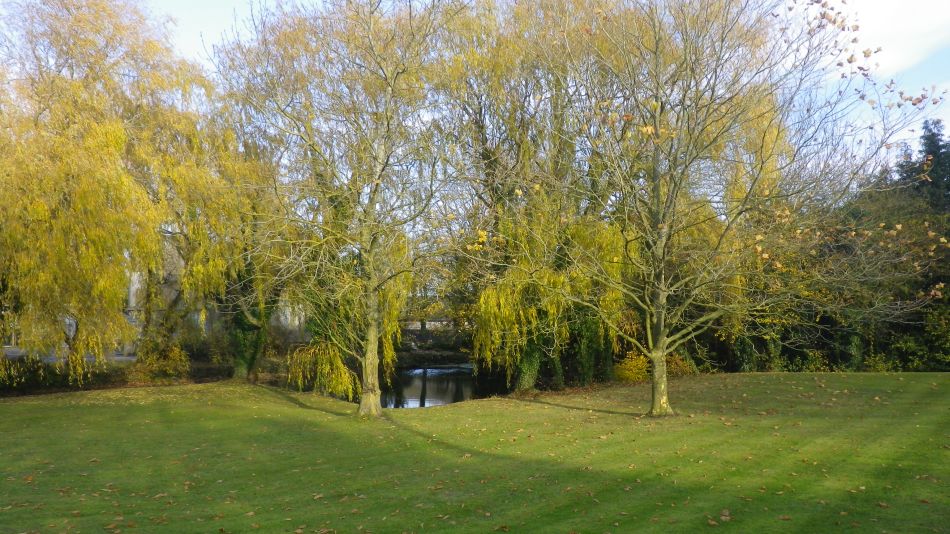 2017-11-16 16 Wissett and St James South Elmham.jpg