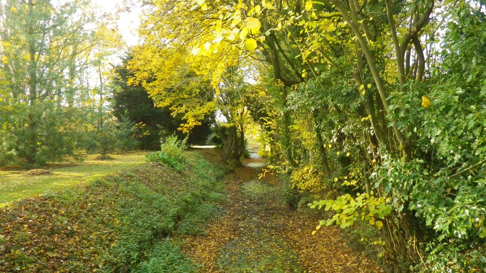 2017-11-16 19 Wissett and St James South Elmham.jpg