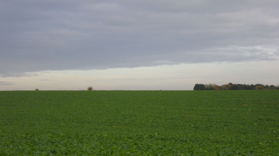 2017-11-16 22 Wissett and St James South Elmham.jpg