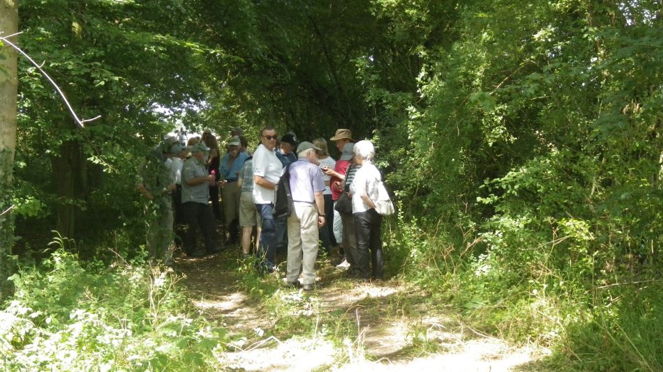 2018-07-04 02 Wissett.jpg