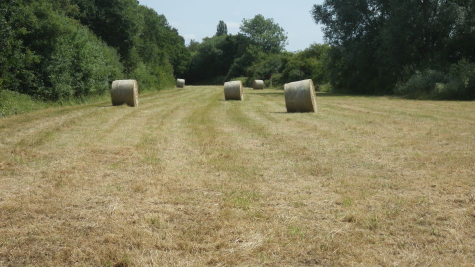 2018-07-04 03 Wissett.jpg