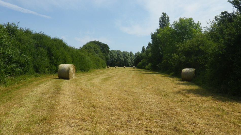 2018-07-04 04 Wissett.jpg