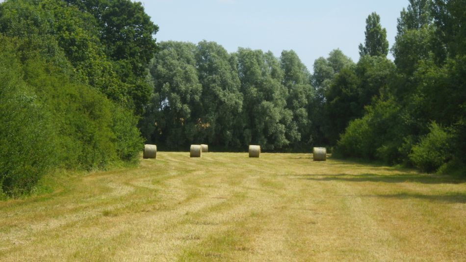 2018-07-04 05 Wissett.jpg