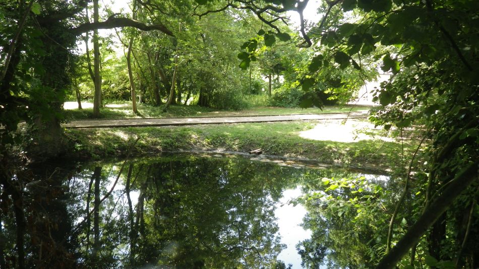 2018-07-04 09 Wissett.jpg