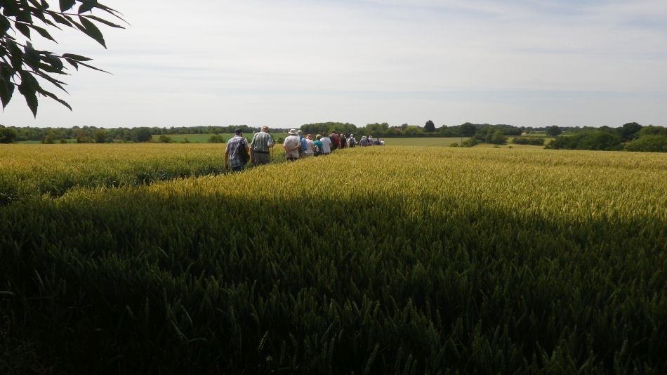 2018-07-04 10 Wissett.jpg