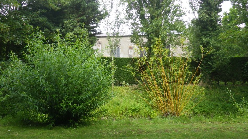 2019-08-01 42 Waveney Way 11 - Saint James and Wissett.jpg