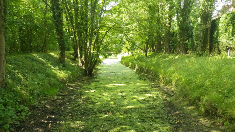 2019-08-01 43 Waveney Way 11 - Saint James and Wissett.jpg