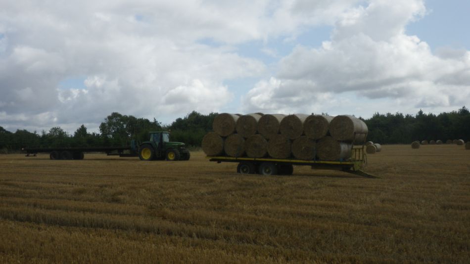 2019-08-15 02 Waveney Way 12 - Wissett and Halesworth.jpg