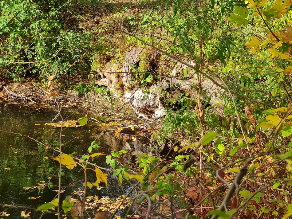 2022-10-19 02 Wissett.jpg