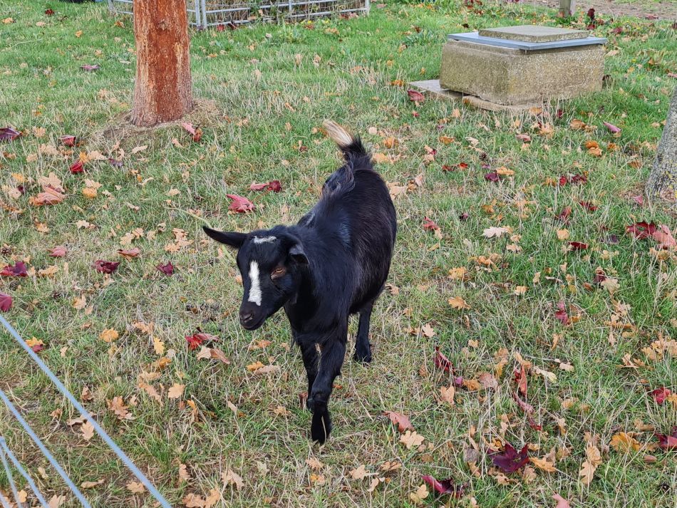 2022-10-19 05 Wissett.jpg