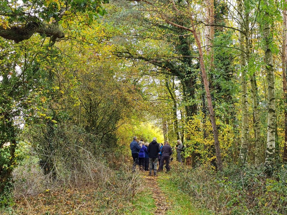 2022-10-19 08 Wissett.jpg