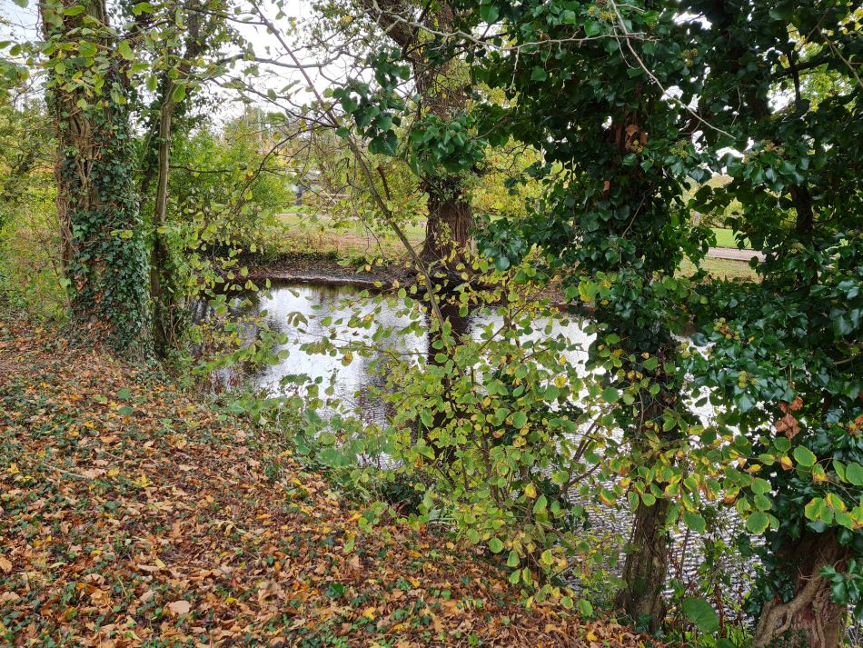 2022-10-19 13 Wissett.jpg