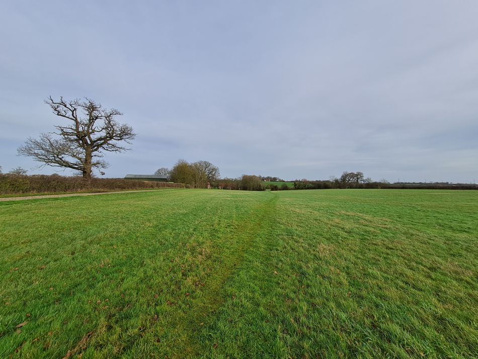 2023-01-04 07 Wissett.jpg