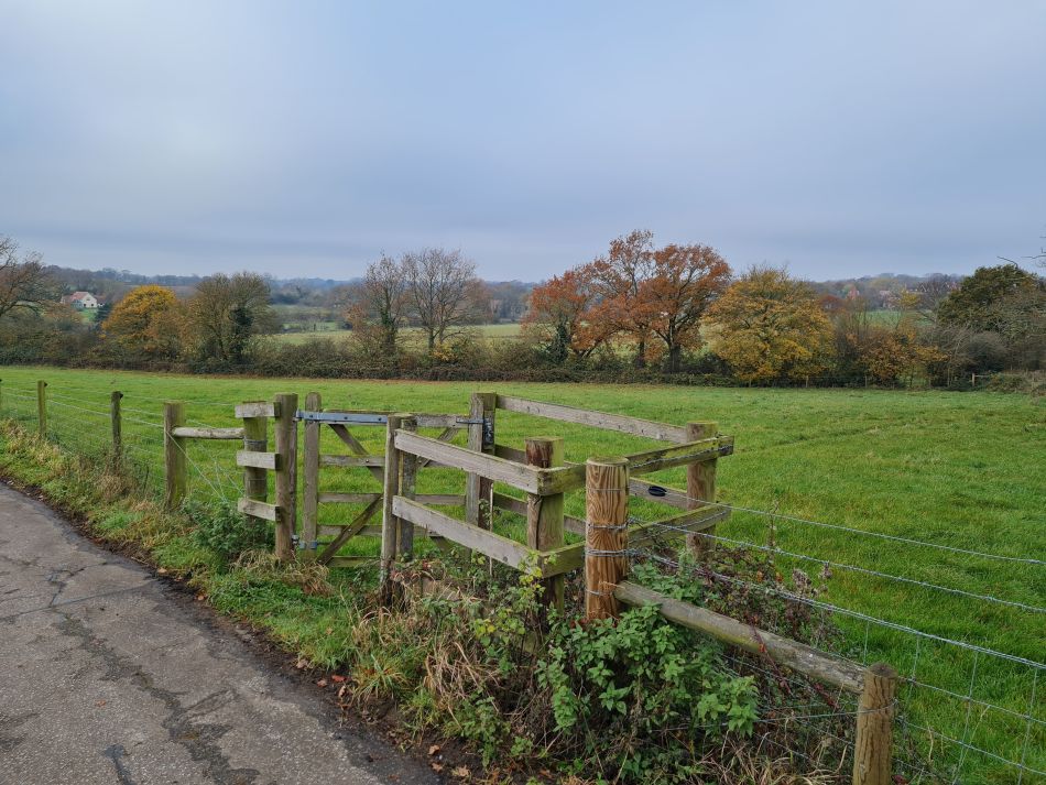 2023-11-29 01 Wissett and Chediston.jpg