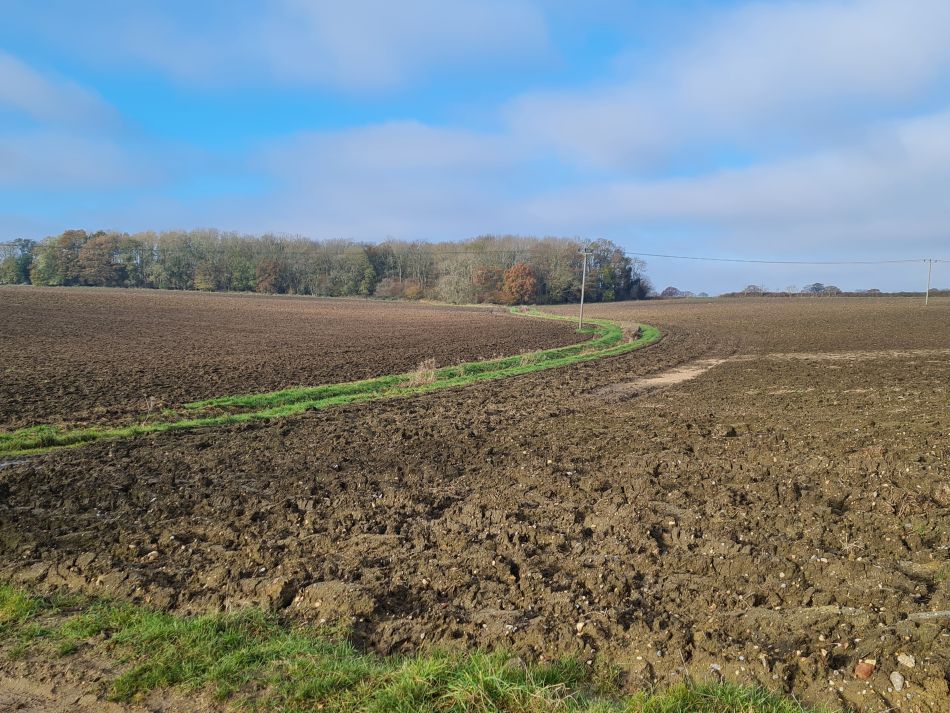 2023-11-29 05 Wissett and Chediston.jpg