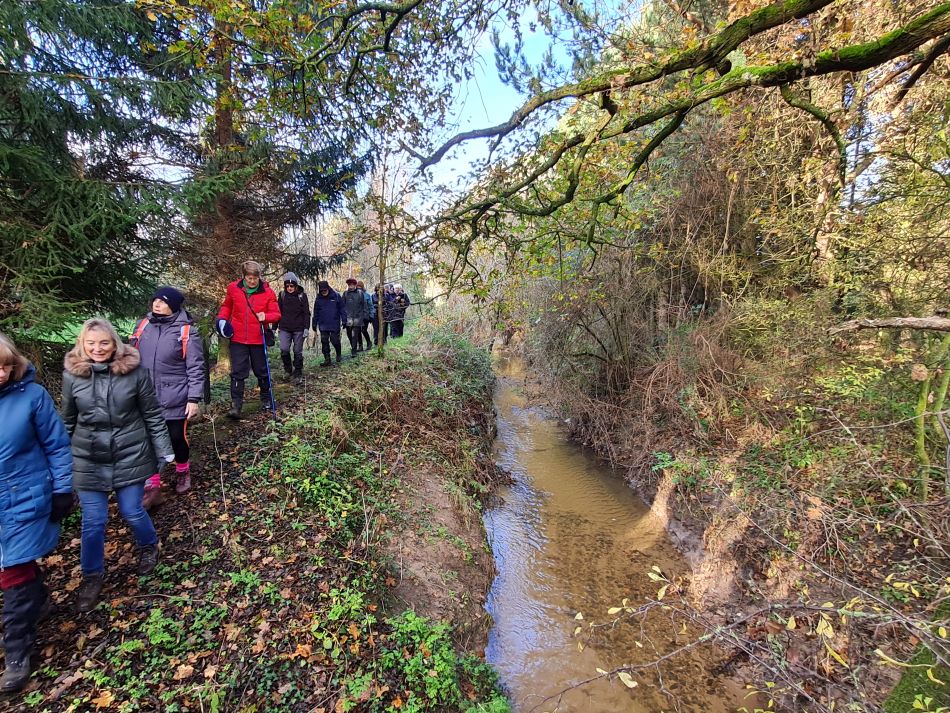 2023-11-29 07 Wissett and Chediston.jpg