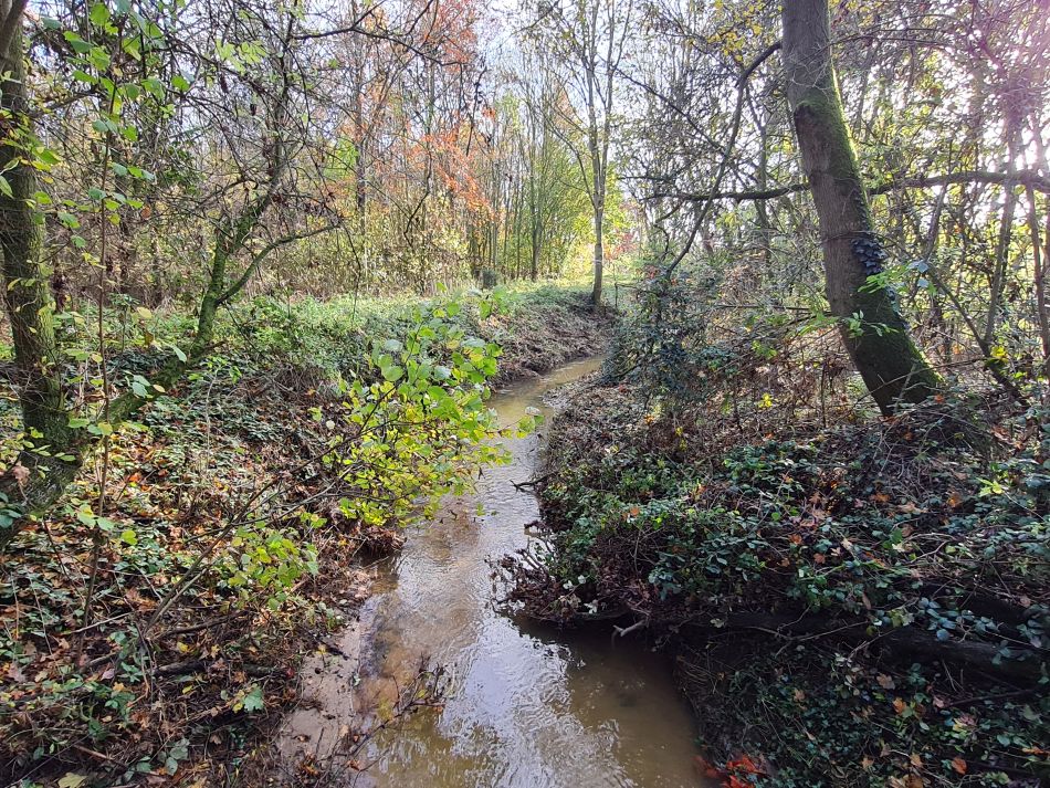 2023-11-29 08 Wissett and Chediston.jpg