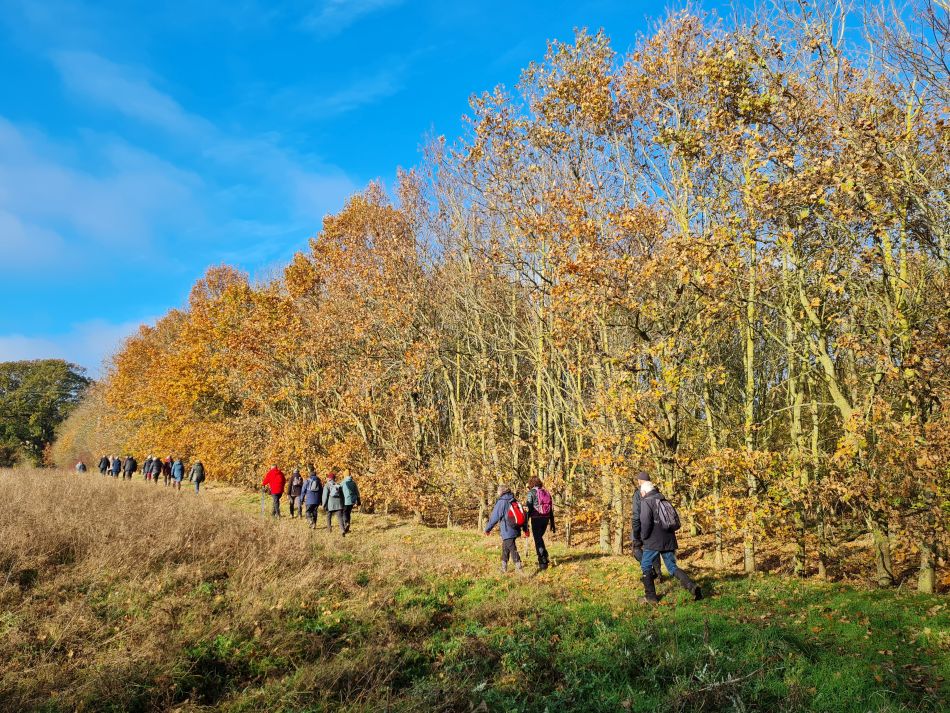 2023-11-29 09 Wissett and Chediston.jpg