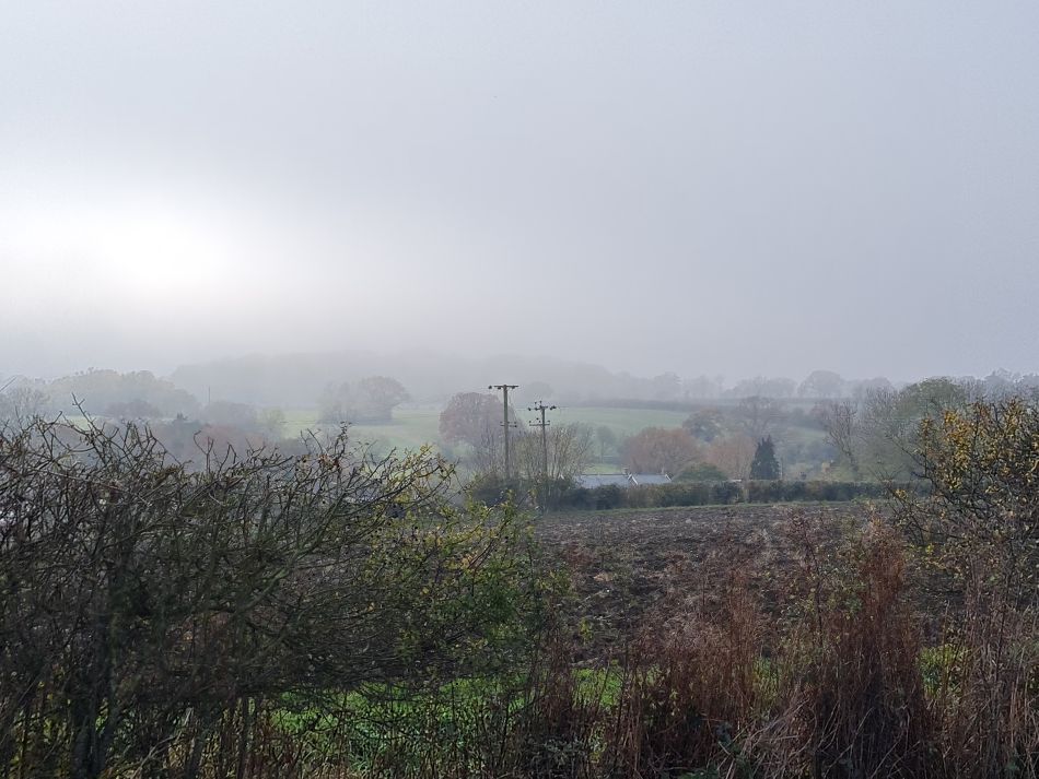 2023-11-29 11 Wissett and Chediston.jpg