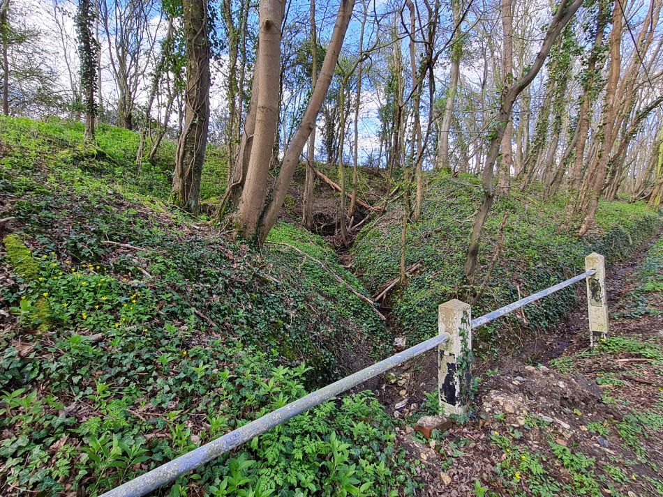 2024-03-27 03 Wissett and Rumburgh.jpg