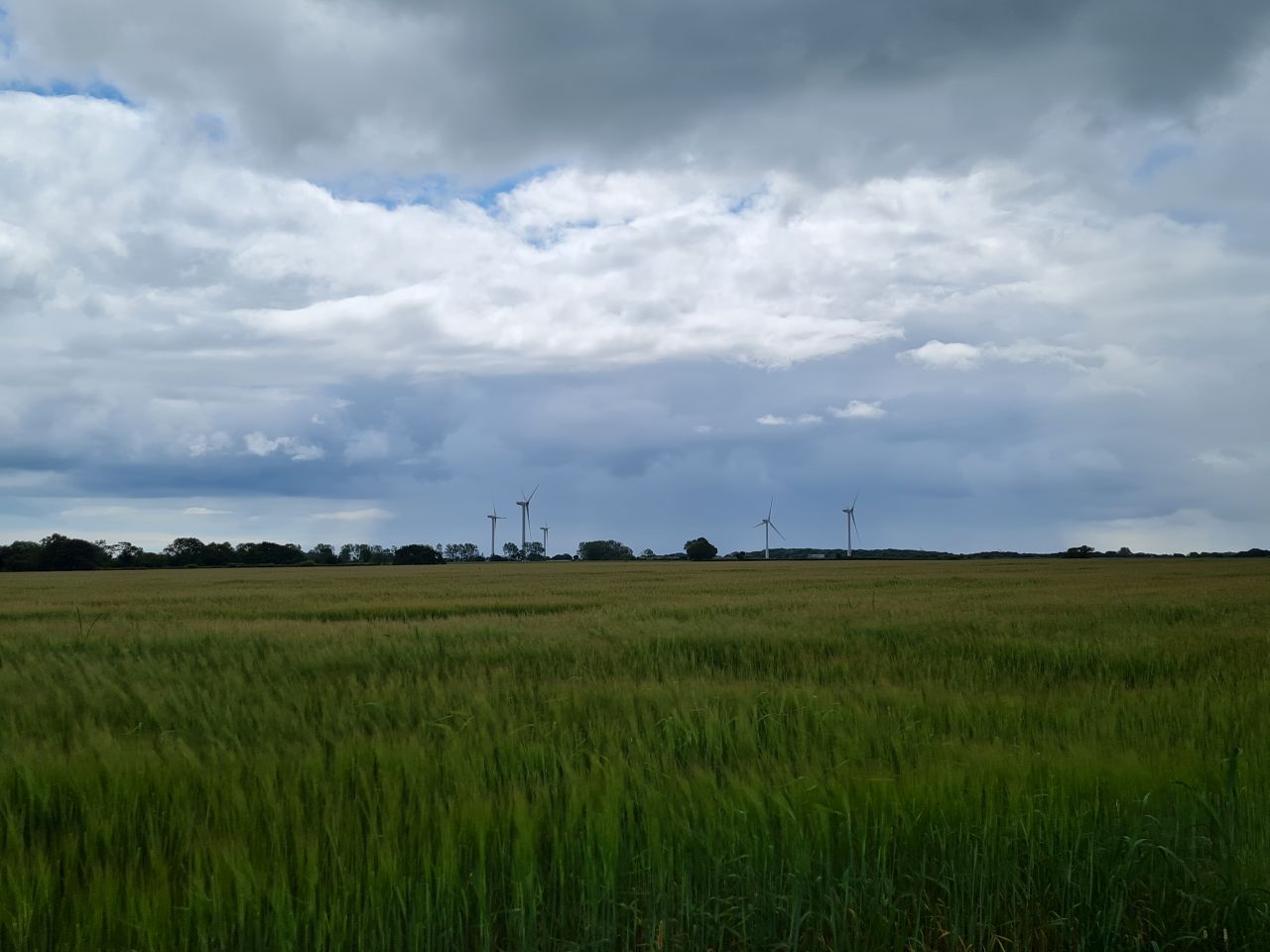 2024-06-22 07 Waveney Way 12.jpg