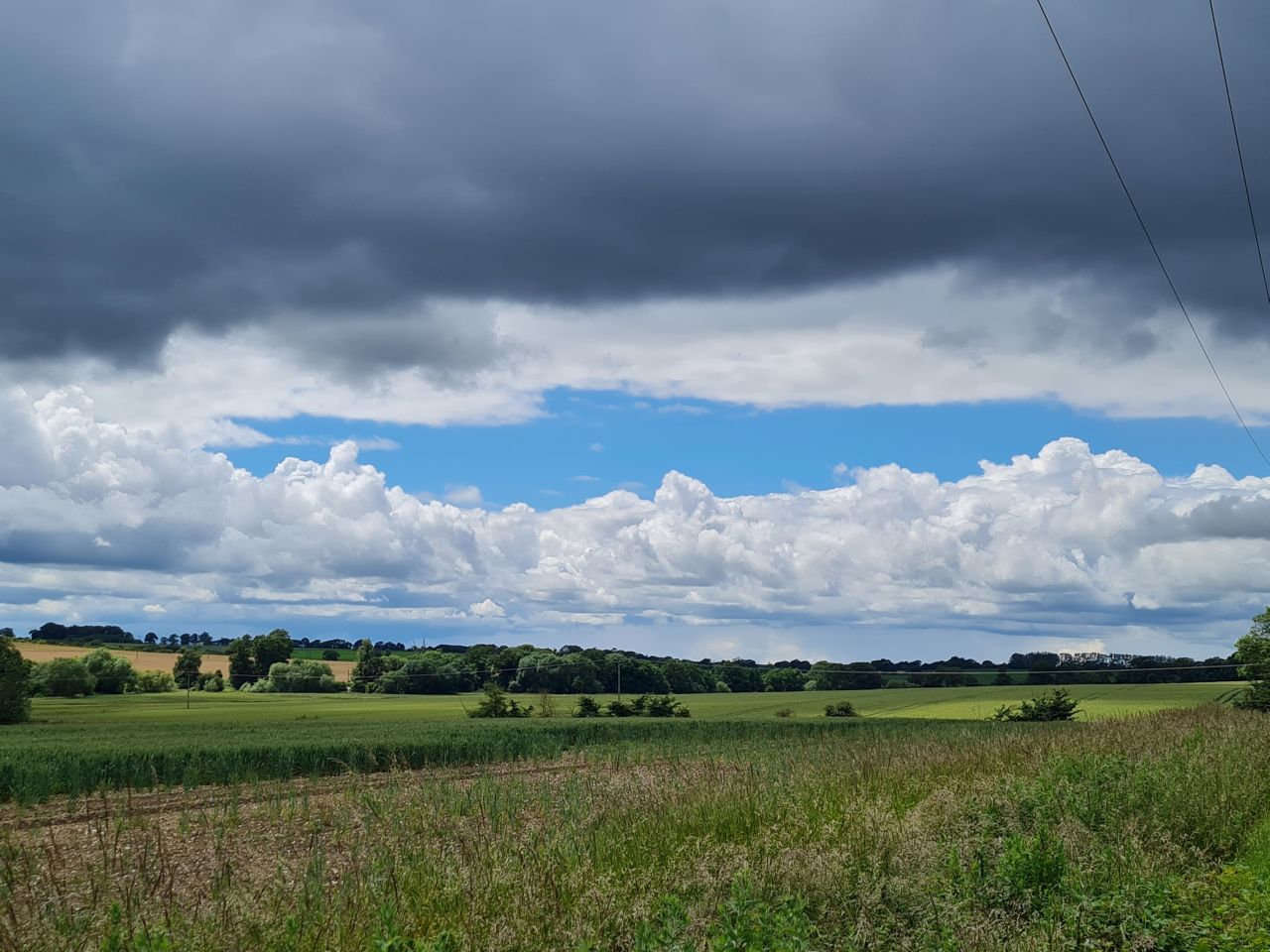 2024-06-22 08 Waveney Way 12.jpg