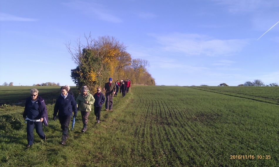 2016-11-16 02 Shadingfield Area.jpg