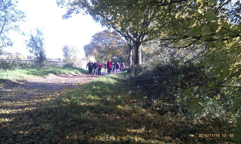 2016-11-16 05 Shadingfield Area.jpg