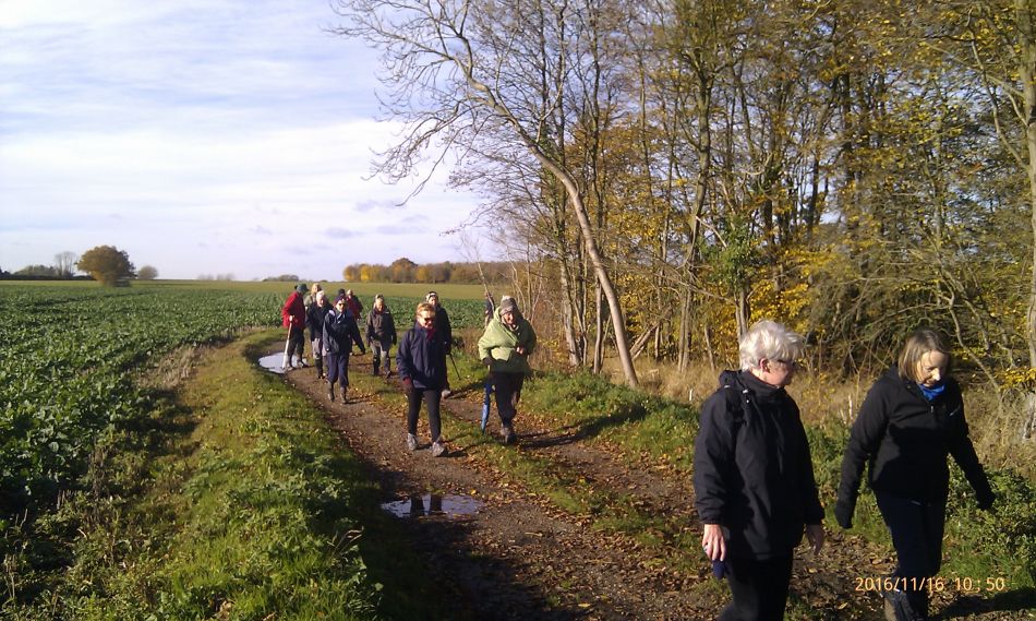 2016-11-16 07 Shadingfield Area.jpg