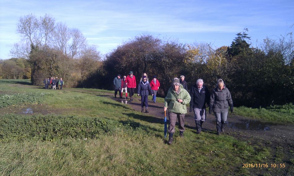 2016-11-16 08 Shadingfield Area.jpg