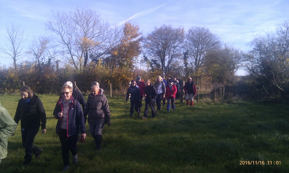 2016-11-16 09 Shadingfield Area.jpg