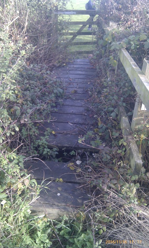 2016-11-16 14 Shadingfield Area.jpg