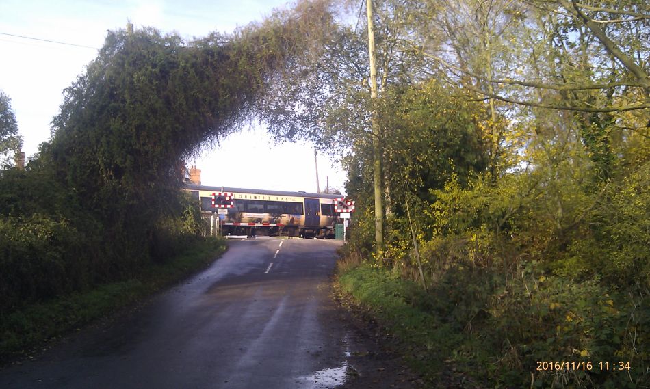 2016-11-16 16 Shadingfield Area.jpg