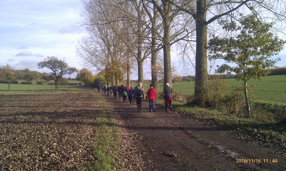2016-11-16 18 Shadingfield Area.jpg