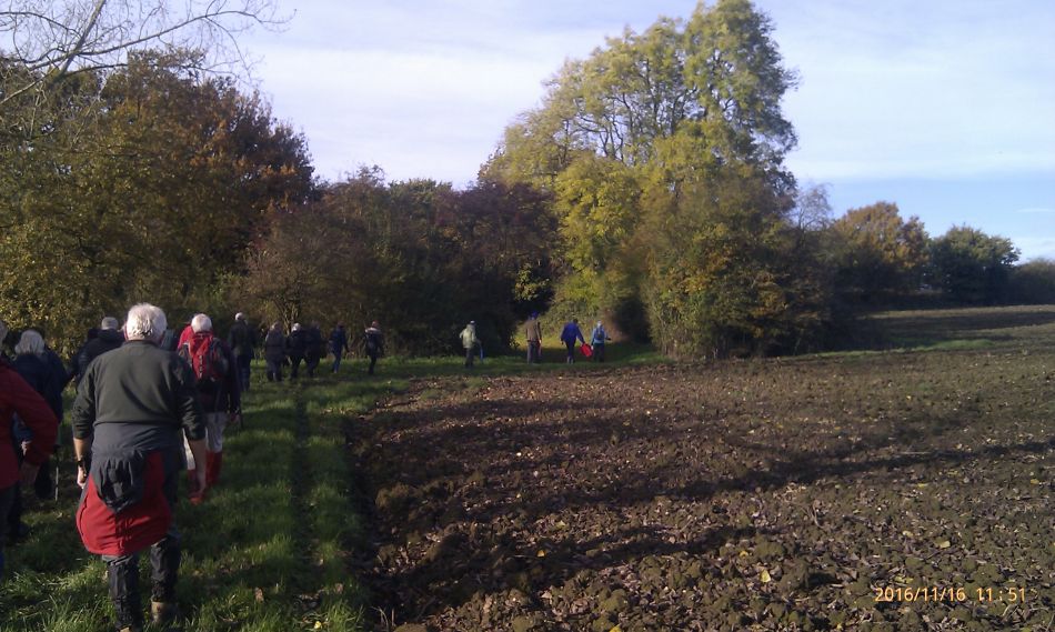 2016-11-16 19 Shadingfield Area.jpg