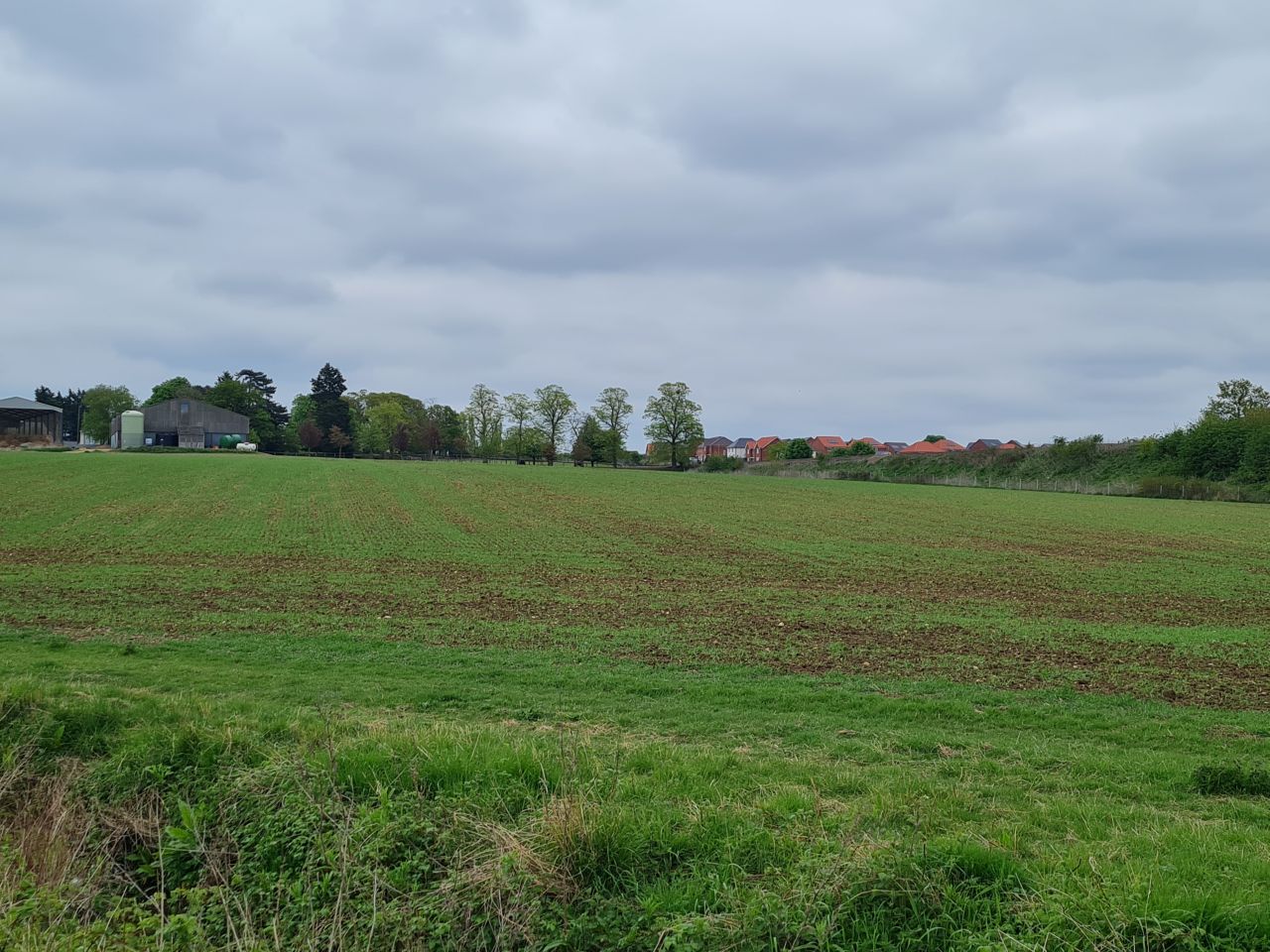 2025-04-25 14 Elmswell.jpg