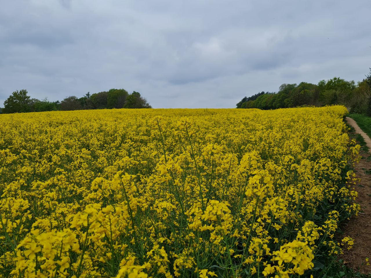 2025-04-25 32 Elmswell.jpg